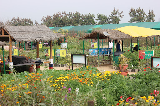 Bus Hire Delhi to Pratapgarh Farms Jhajjar
